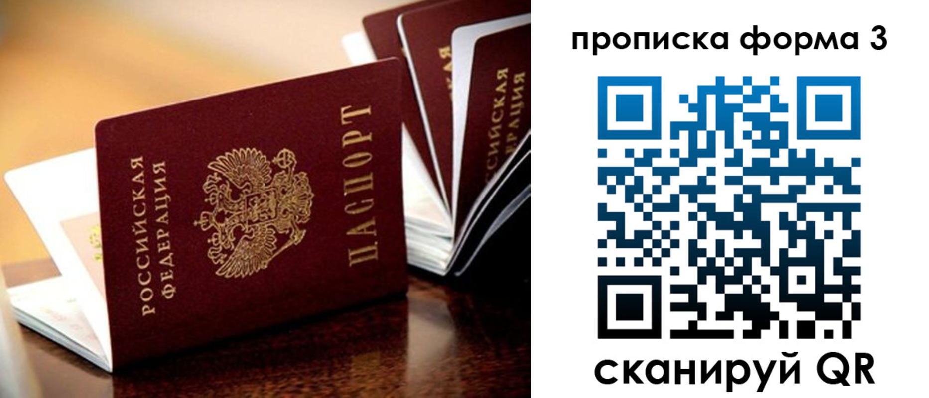 временная регистрация надежно в Пионерском